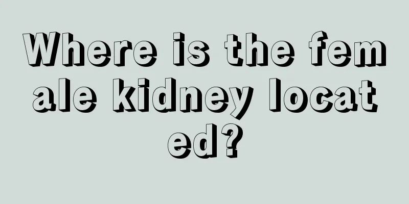 Where is the female kidney located?