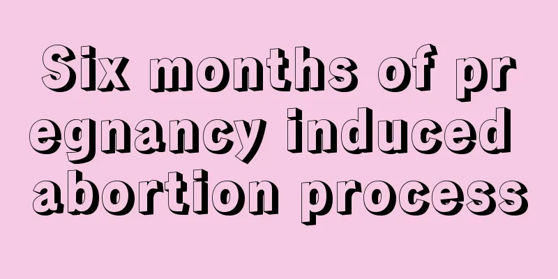 Six months of pregnancy induced abortion process