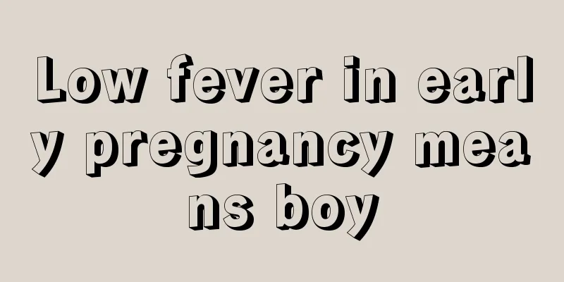 Low fever in early pregnancy means boy