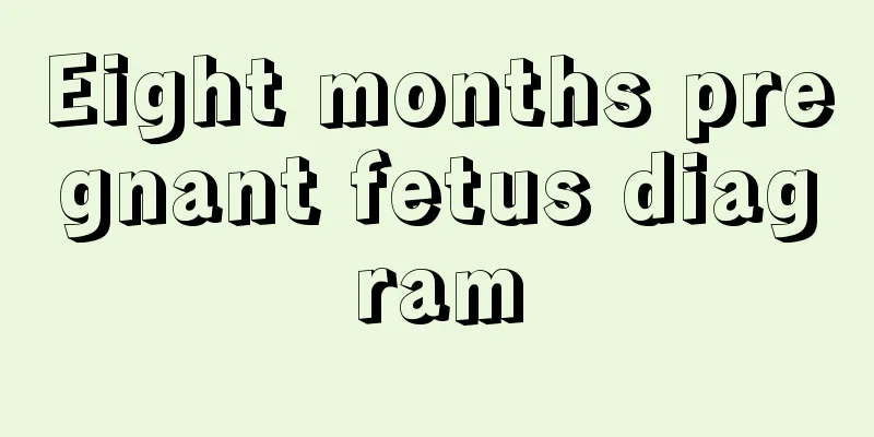 Eight months pregnant fetus diagram