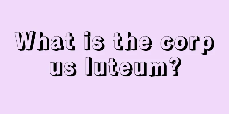 What is the corpus luteum?