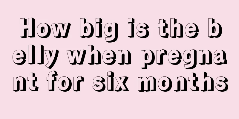 How big is the belly when pregnant for six months