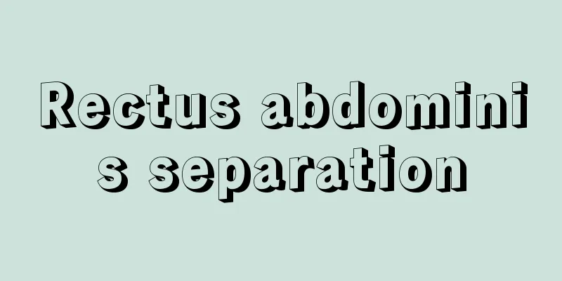 Rectus abdominis separation