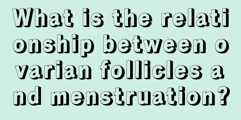 What is the relationship between ovarian follicles and menstruation?