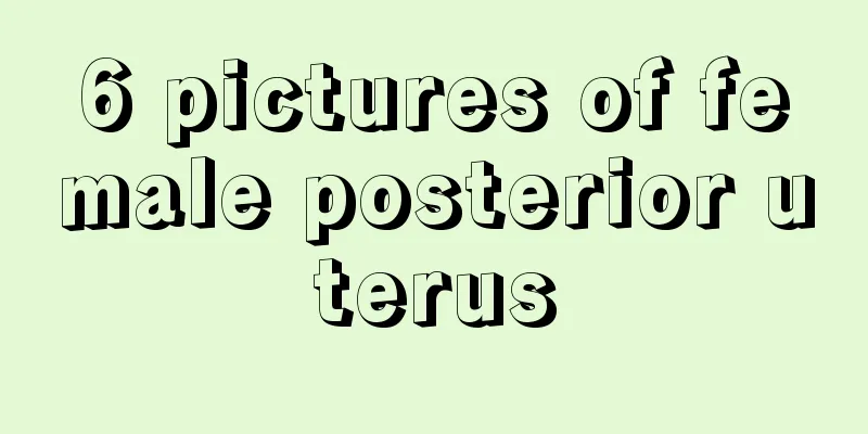 6 pictures of female posterior uterus