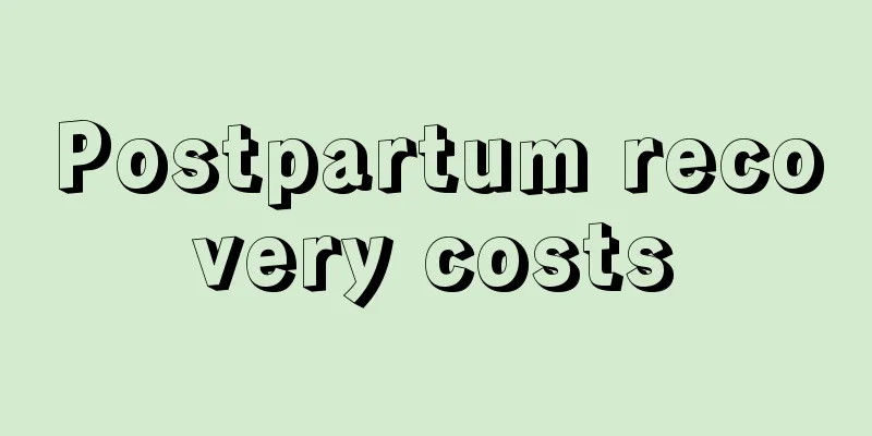 Postpartum recovery costs