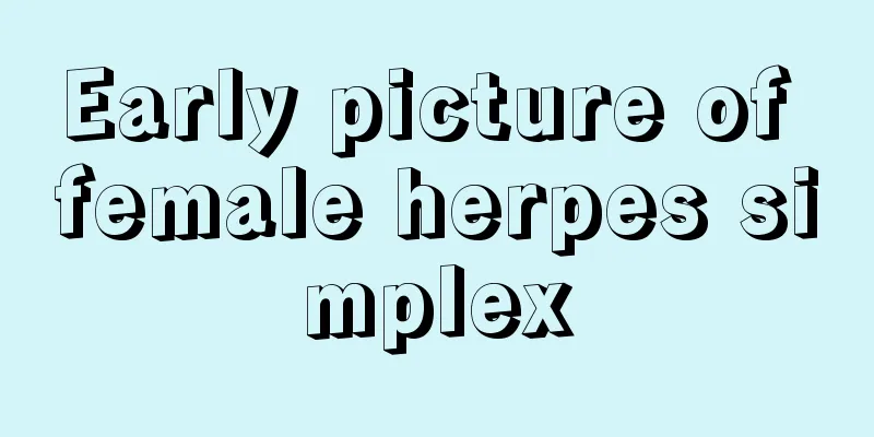 Early picture of female herpes simplex