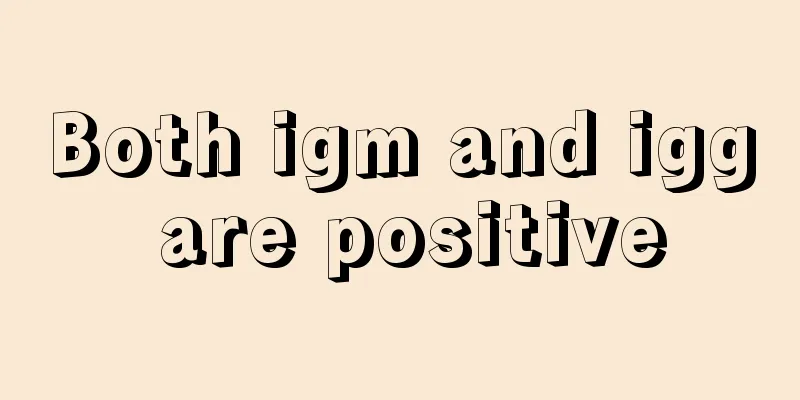 Both igm and igg are positive