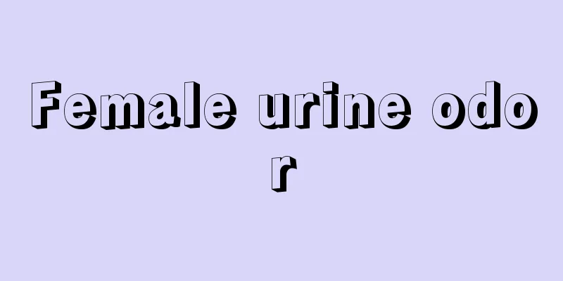 Female urine odor