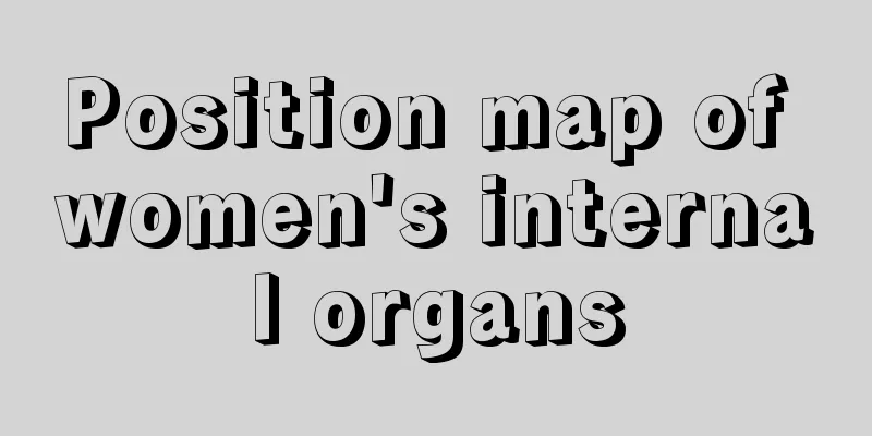 Position map of women's internal organs