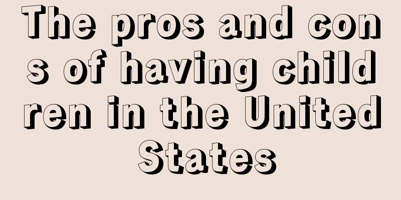 The pros and cons of having children in the United States