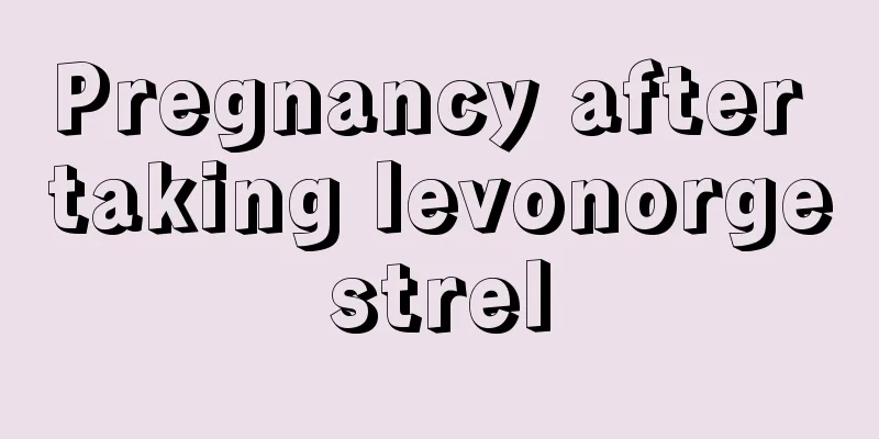 Pregnancy after taking levonorgestrel