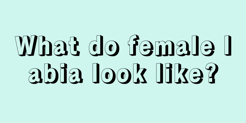 What do female labia look like?