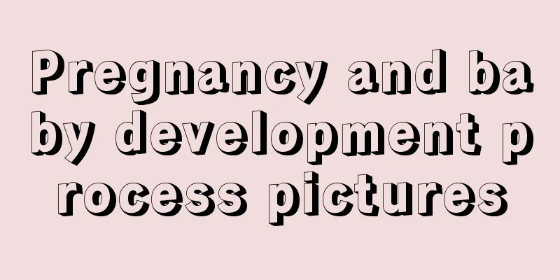 Pregnancy and baby development process pictures