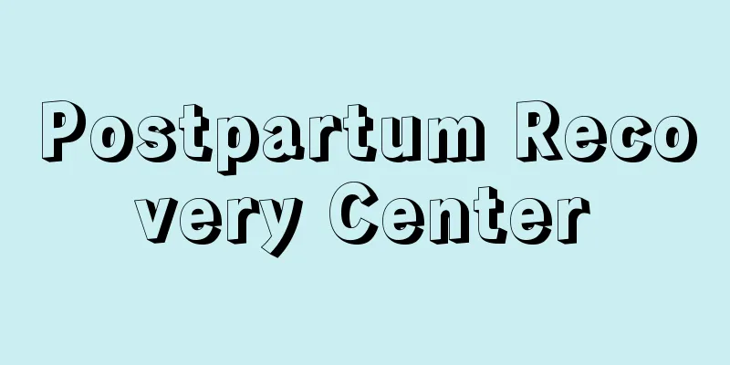 Postpartum Recovery Center