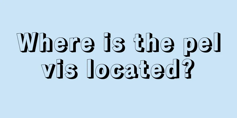 Where is the pelvis located?