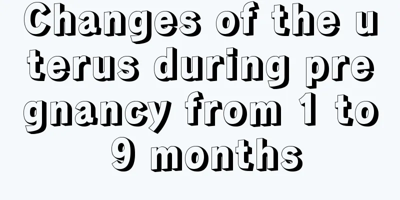 Changes of the uterus during pregnancy from 1 to 9 months