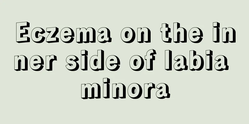 Eczema on the inner side of labia minora