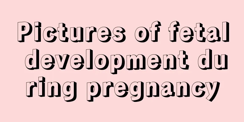 Pictures of fetal development during pregnancy