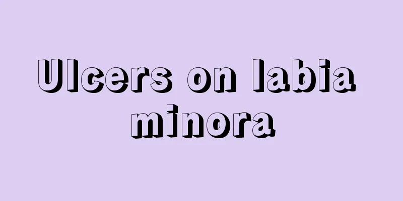 Ulcers on labia minora