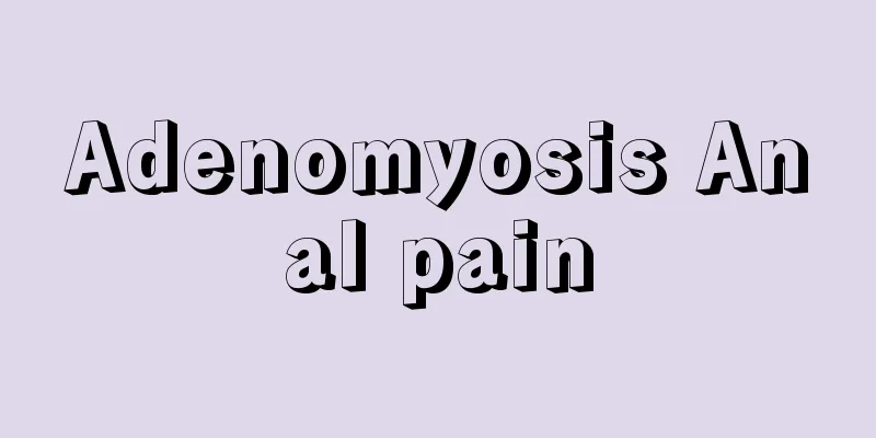 Adenomyosis Anal pain