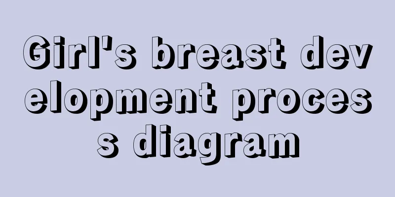 Girl's breast development process diagram