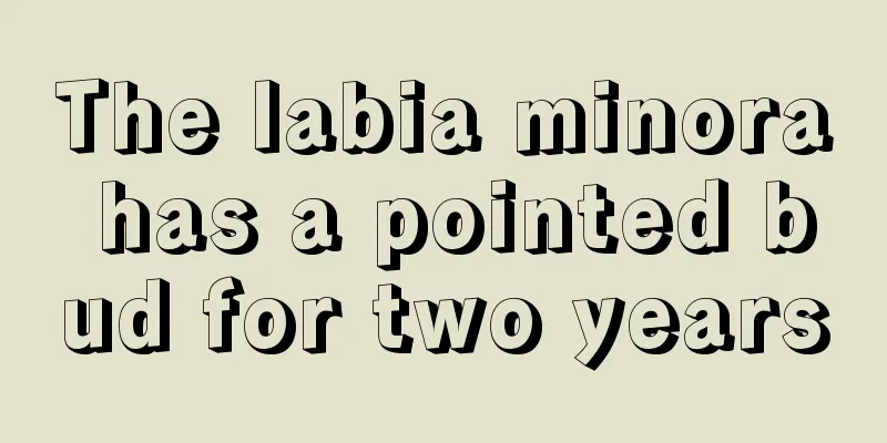 The labia minora has a pointed bud for two years