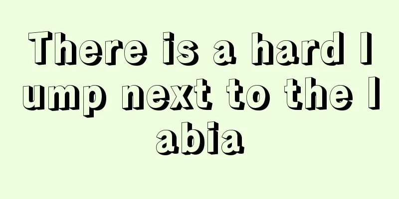 There is a hard lump next to the labia