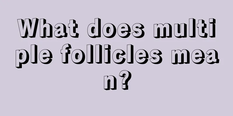 What does multiple follicles mean?