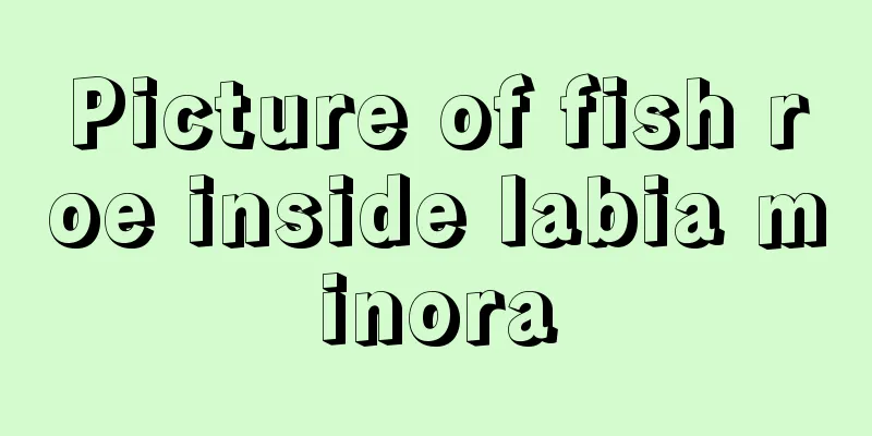 Picture of fish roe inside labia minora