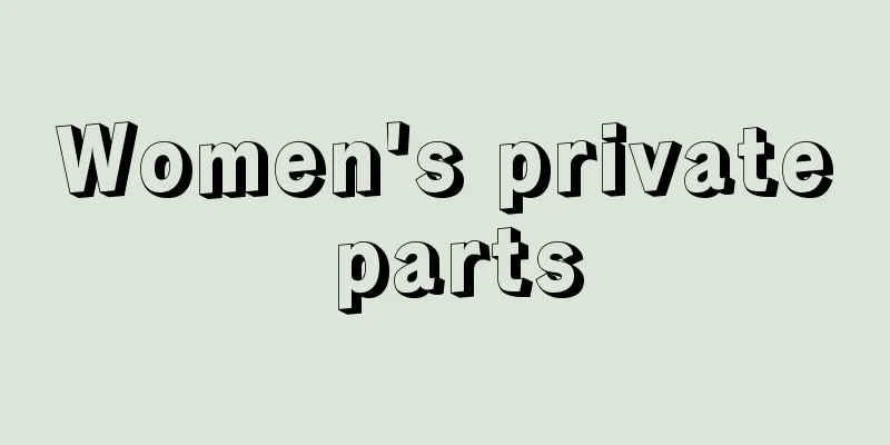 Women's private parts