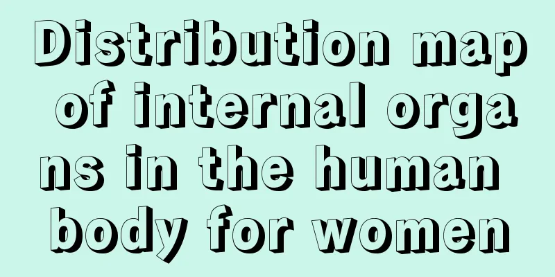 Distribution map of internal organs in the human body for women