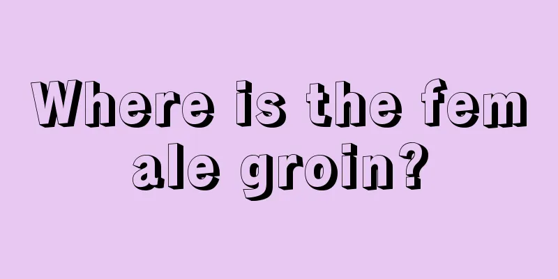 Where is the female groin?