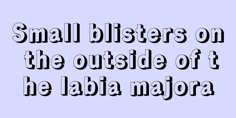 Small blisters on the outside of the labia majora