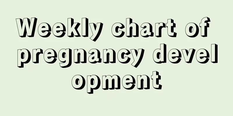 Weekly chart of pregnancy development