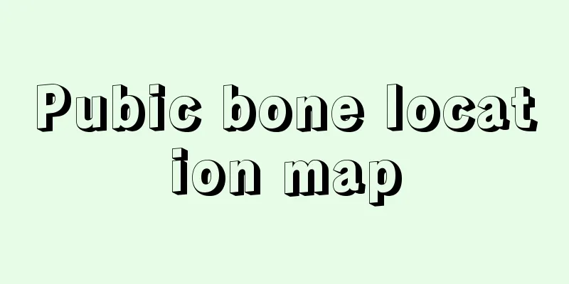 Pubic bone location map