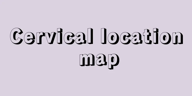 Cervical location map