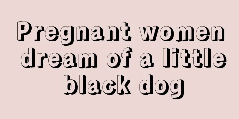 Pregnant women dream of a little black dog