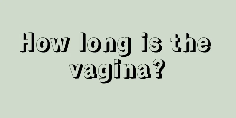 How long is the vagina?