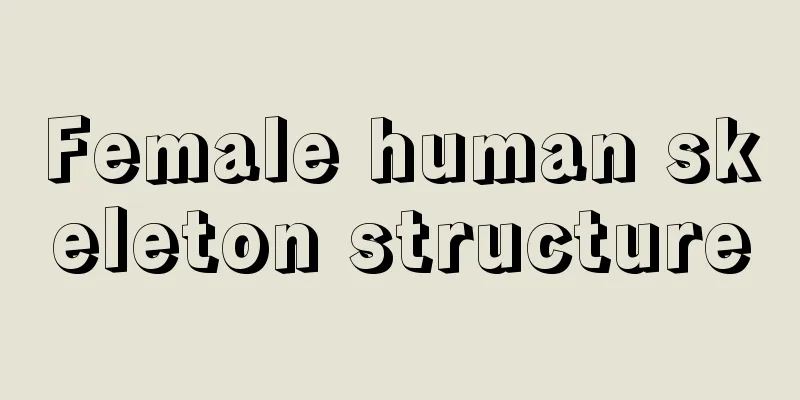 Female human skeleton structure