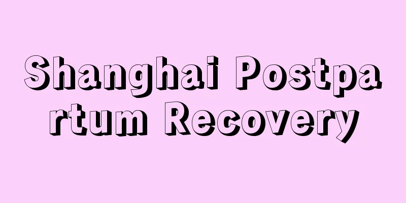 Shanghai Postpartum Recovery