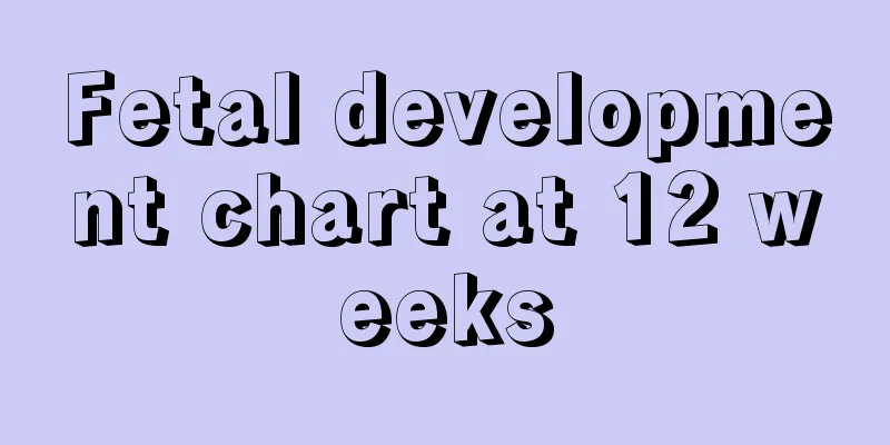 Fetal development chart at 12 weeks