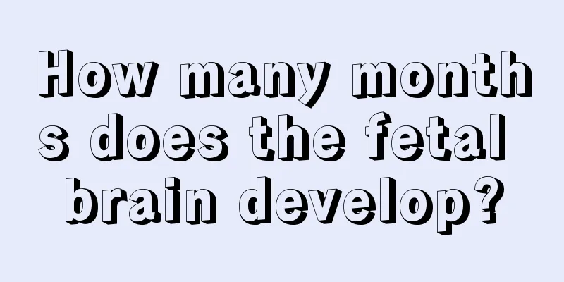 How many months does the fetal brain develop?