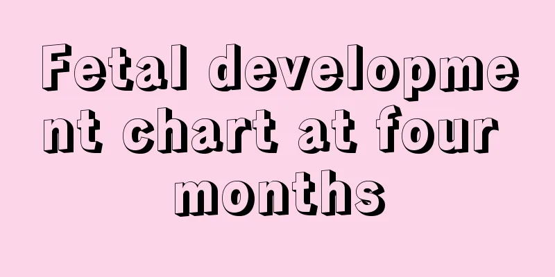 Fetal development chart at four months