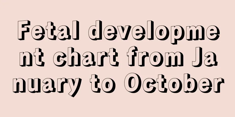 Fetal development chart from January to October