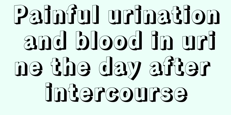 Painful urination and blood in urine the day after intercourse