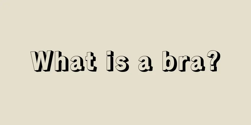 What is a bra?