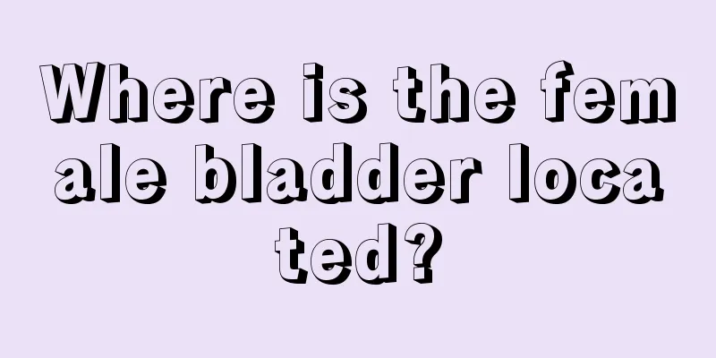 Where is the female bladder located?