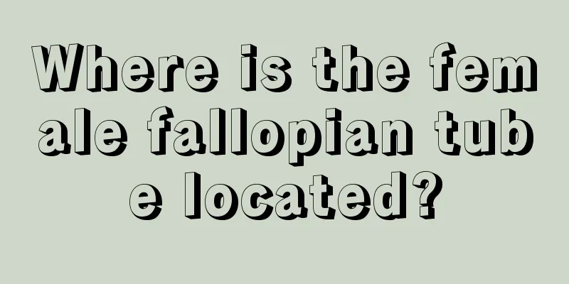 Where is the female fallopian tube located?