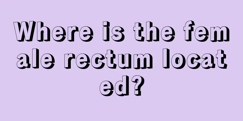 Where is the female rectum located?